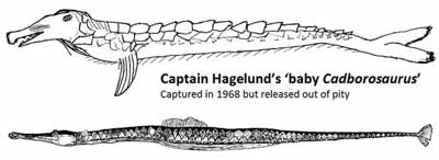 Il baby Caddy di Hagelund ed un pesece ago. Illustrazione di Cameron McCormick.