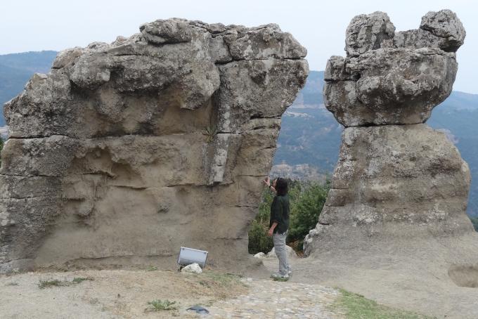 Esaminando la non-proboscide di un non-elefante...